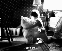 I Like You! GIF - Ted I Like You Hug GIFs