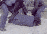 a man in a blue shirt is laying on the ground being held by two men in suits .