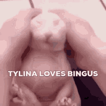 Tylina Bingus GIF - Tylina Bingus Tylina Loves Bingus GIFs