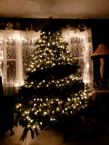 Christmas Lights Christmas Tree GIF - Christmas Lights Christmas Tree Christmas GIFs