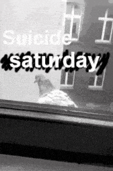 a pigeon is looking out of a window with the words suicide saturday written on it