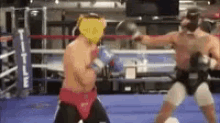No Balls Hold On For One More Day GIF - No Balls Hold On For One More Day Boxing GIFs