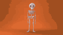 Skeleton Halloween GIF - Skeleton Halloween GIFs