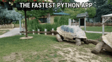 Python Python Meme GIF - Python Python Meme Code Slander GIFs
