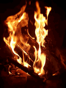 Camino Fuoco GIF - Camino Fuoco Fireplace GIFs