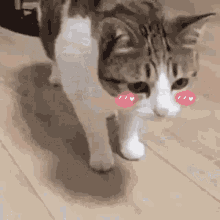 GIF