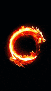 a circle of fire on a black background that looks like a dragon