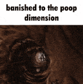 Banished Poop GIF - Banished Poop Dimension GIFs