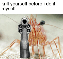 a picture of a shrimp with a gun pointed at it with the caption krill yourself before i do it myself