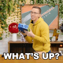 Whats Up Austin Evans GIF - Whats Up Austin Evans Whats Happening GIFs