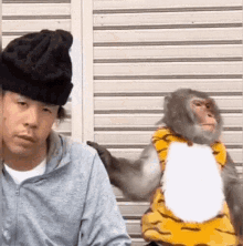 Monkey Sees Hat GIF - Monkey Sees Hat GIFs