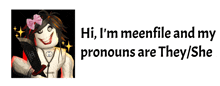 a picture of a girl with the words hi i 'm meenfile and my pronouns are they / she below it