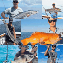 Reef Fishing Charters Whitehaven Hill Inlet Tours GIF