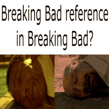 breaking bad reference in breaking bad