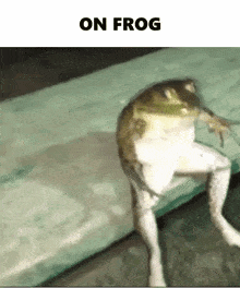 On Frog On God GIF - On Frog Frog On God GIFs