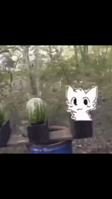 a cartoon cat is standing next to two watermelons in pots .