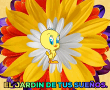 el jardin de tus suenos the garden of your dreams flowers tweety bird cute