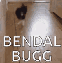 Bendallbug Coa GIF - Bendallbug Bug Coa GIFs
