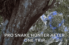 Predator Jungle Hunter GIF - Predator Jungle Hunter Jungle GIFs