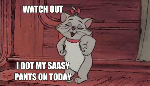 sassy cat meme