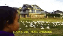 Chickens Look GIF - Chickens Look GIFs