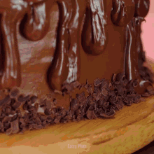 a close up of a chocolate cake with easy plus written on the bottom of it