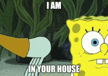 I Am In Your House GIF - I Am In Your House GIFs