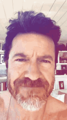 Paolo Conticini Selfie GIF - Paolo Conticini Selfie Beard GIFs