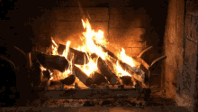 Fire Campfire GIF - Fire Campfire Logs GIFs