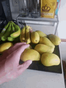 Mango Mangoes GIF - Mango Mangoes Fruit GIFs