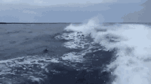 Ocean Idiot GIF - Ocean Idiot Dumb GIFs