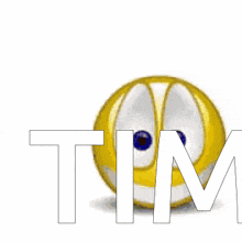 a smiley face next to a bouquet of red roses with the word tim below it