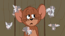 GIF