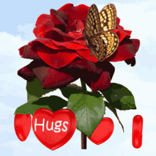 Hugs Hugs And Love GIF - Hugs Hugs And Love Red Rose And Butterfly GIFs