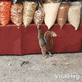 Eating Viralhog GIF - Eating Viralhog Munching GIFs
