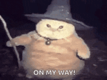 a cat dressed as a wizard is holding a wand and a cane .