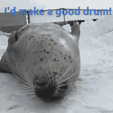 Bring Me My Money Seal GIF - Bring Me My Money Seal Belly GIFs