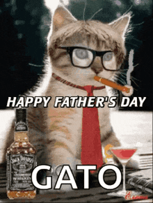 a cat wearing glasses and a tie smoking a cigar