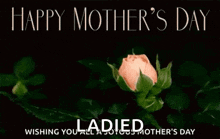 happy mothers day happy moms day mothers day flower bloom
