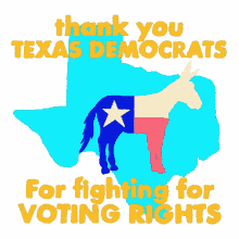 thanks texas dems texas democrats texas voting rights tx texas