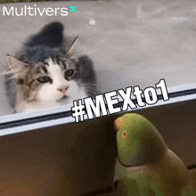 Mexto1 Multiversx GIF - Mexto1 Multiversx Mvx GIFs
