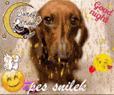 a dog is surrounded by smiley faces and the words sweet dreams