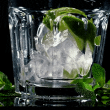 Fresh Mint GIF - Fresh Mint Ice GIFs