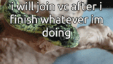 a picture of a snake with the words " i will join vc after i finish whatever im doing " below it
