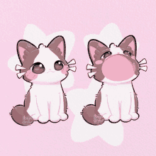 Popopopop Cute Cat GIF - Popopopop Cute Cat GIFs