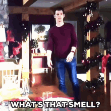Whats That GIF - Whats That Smell GIFs