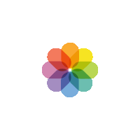 a rainbow colored flower with a white center is on a white background