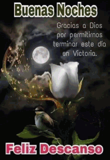 Buenas Noches Feliz Descanso Floral Flowers GIF - Buenas Noches Feliz  Descanso Floral Flowers Moon - Discover & Share GIFs