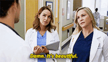 Greys Anatomy Arizona Robbins GIF - Greys Anatomy Arizona Robbins Damn Its Beautiful GIFs