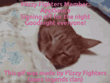 Flizzy Fighters GIF - Flizzy Fighters GIFs